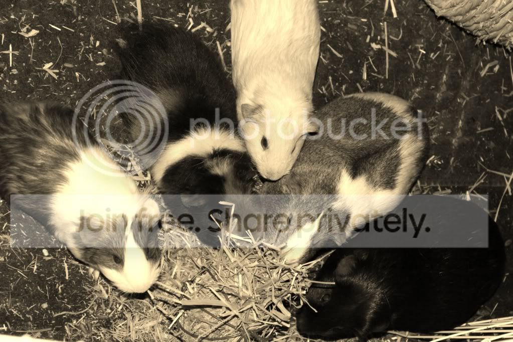011-Copy-2.jpg